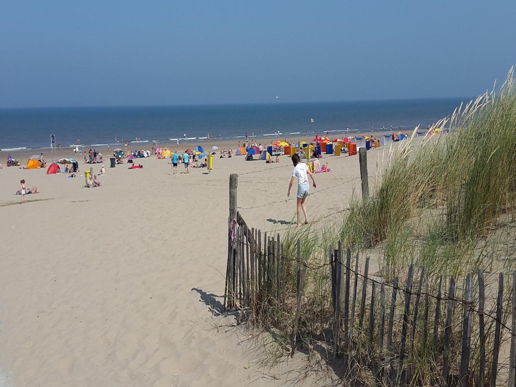 Modern Apartment In Noordwijk Near The Sea المظهر الخارجي الصورة